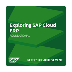 SAP Cloud ERP