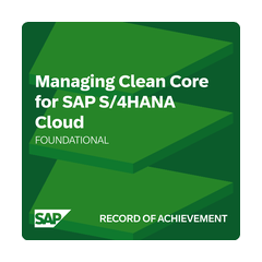 SAP Managing Clean Core